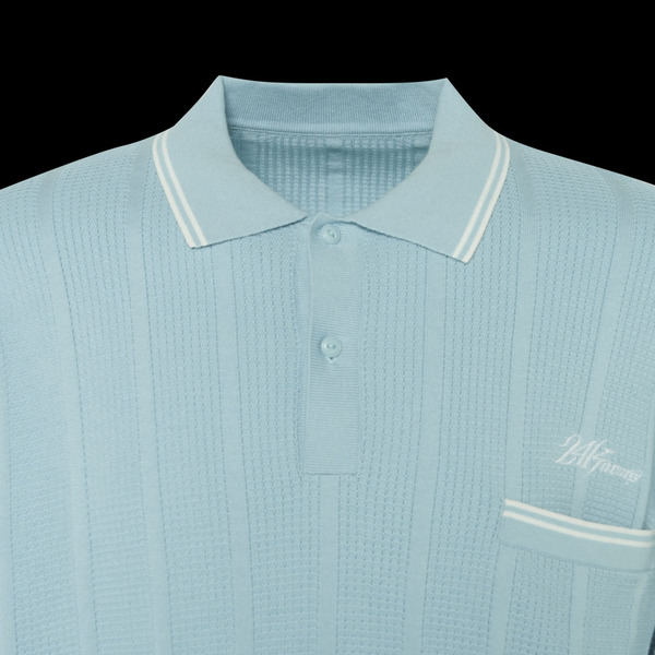 SHADOW STRIPE KNIT POLO LS 詳細画像 Blue 2