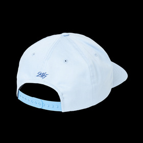 AUTHENTIC LOGO 5PANEL SNAPBACK CAP 詳細画像