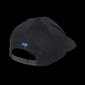 AUTHENTIC LOGO 5PANEL SNAPBACK CAP 詳細画像