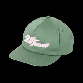 AUTHENTIC LOGO 5PANEL SNAPBACK CAP 詳細画像