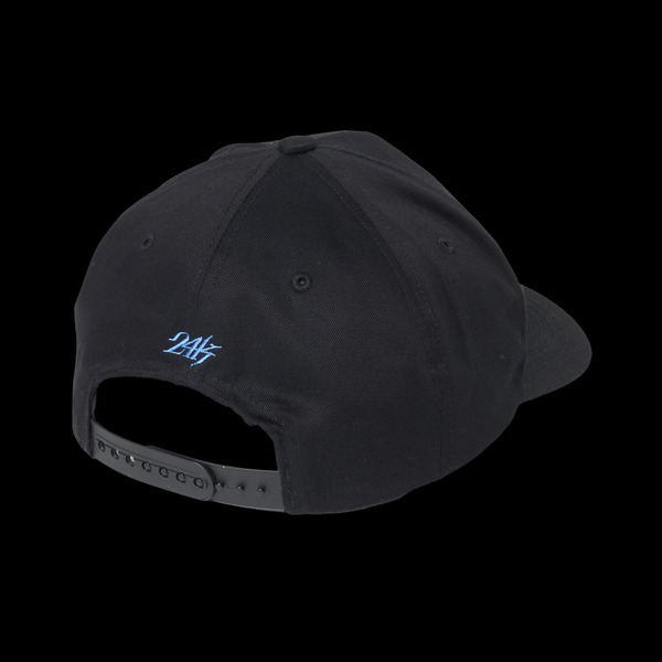 AUTHENTIC LOGO 5PANEL SNAPBACK CAP 詳細画像 Black 9