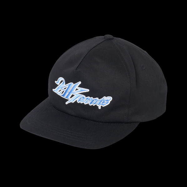AUTHENTIC LOGO 5PANEL SNAPBACK CAP