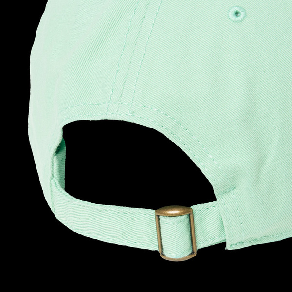 PIGMENT 6-PANEL CAP 詳細画像 Blue 2